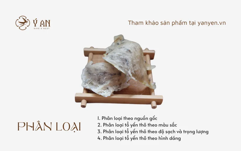NHỮNG AI NÊN ĂN YẾN SÀO