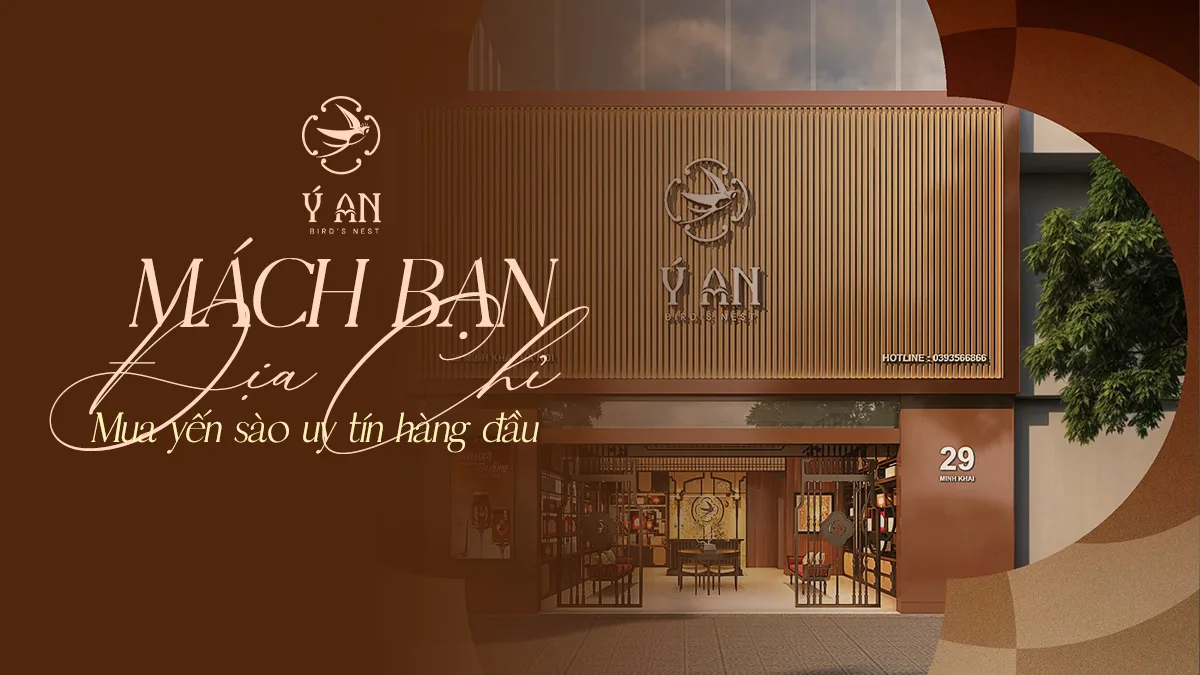 Địa Chỉ Mua Yến Sào Uy Tín
